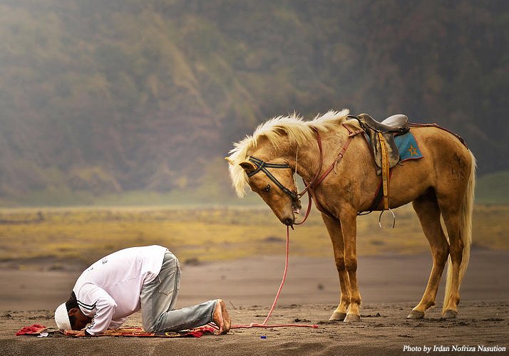 Sujud